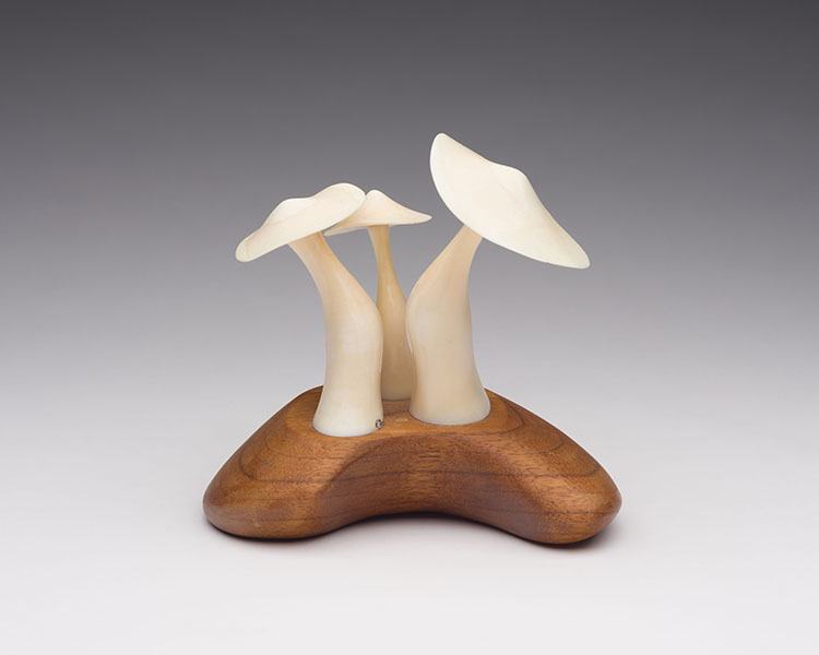 Three Mushrooms par Robert Dow Reid