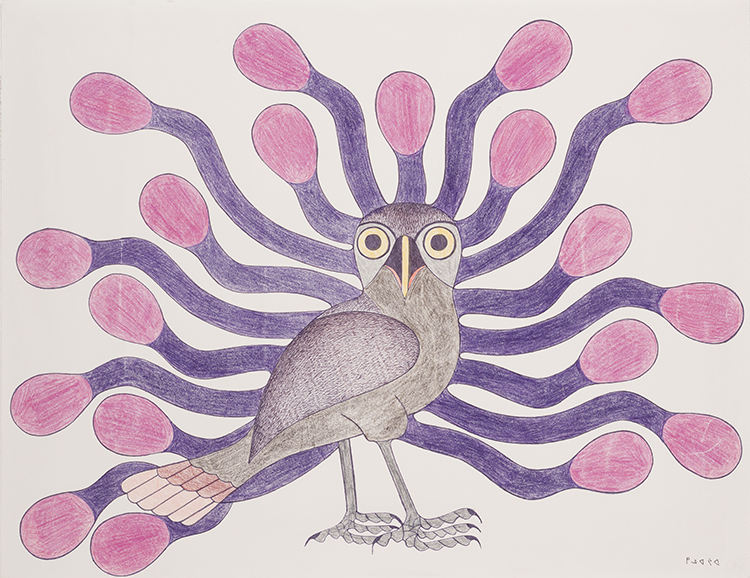 Owl par Kenojuak Ashevak