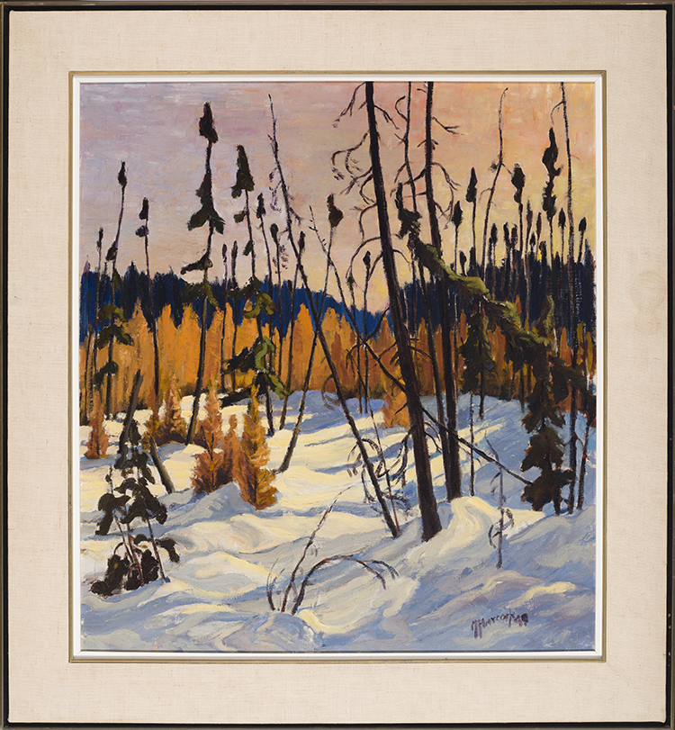 Boreal Forest, North of Lake Superior, 1949 by Dr. Maurice Hall Haycock