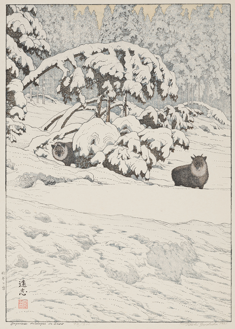 Japanese Antelopes in Snow par Toshi Yoshida