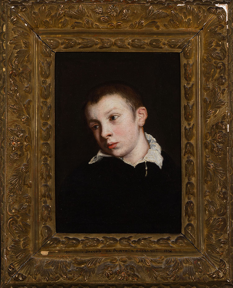 Portrait of a boy by After Jacopo dal Ponte Bassano