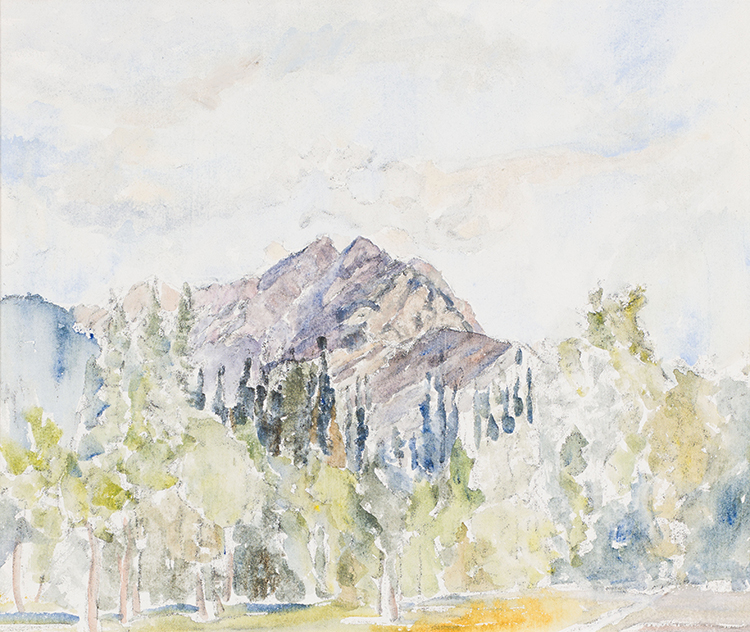 Mountain Series, Aspens par Dorothy Knowles