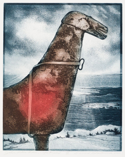 John Stokes' Horse: Cape Freels par David Lloyd Blackwood