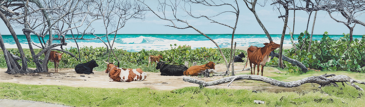 Cattle at Cattlewash by Darla Trotman