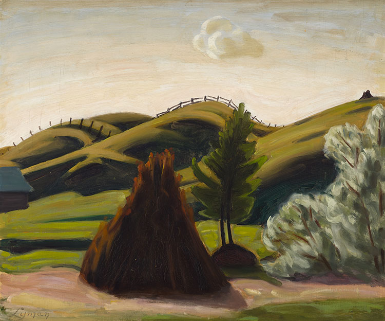 The Brush Pile, St. Jovite par John Goodwin Lyman