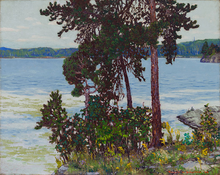 Pine Point, Lake of the Woods par Frank Hans (Franz) Johnston